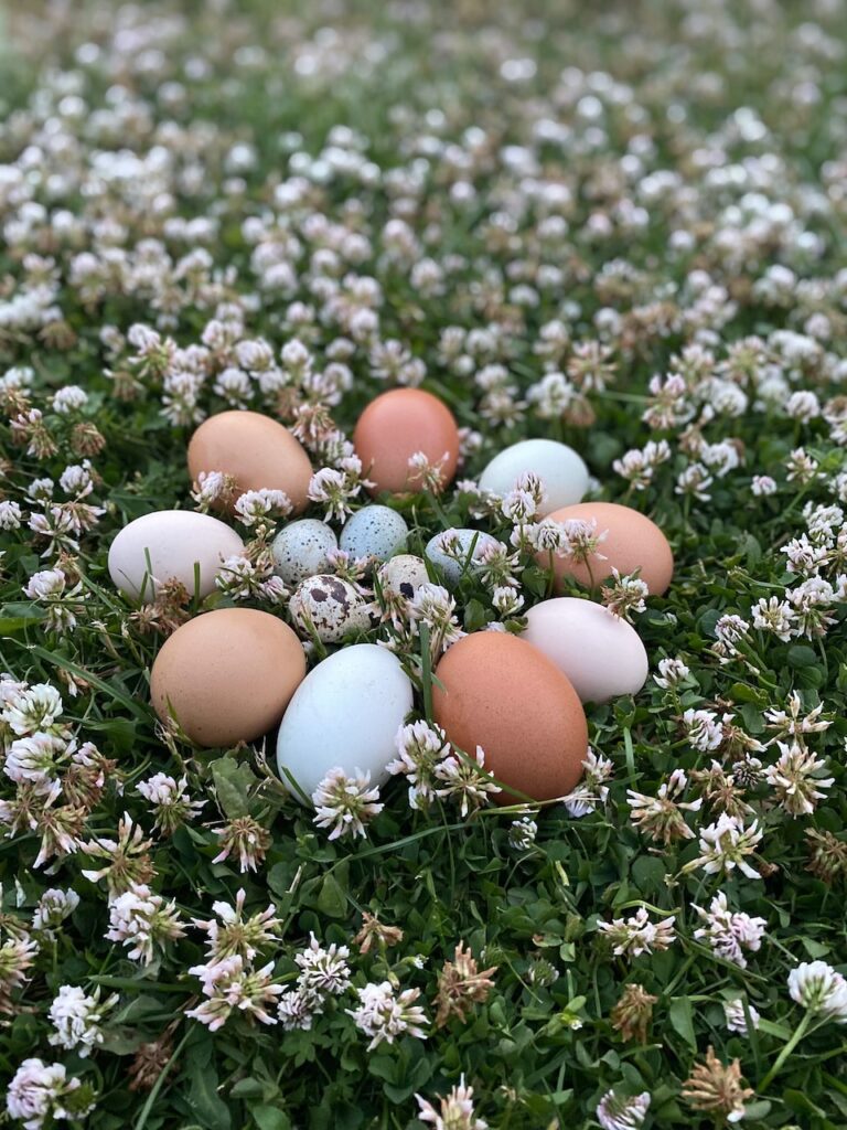 Odling och hållbarhet