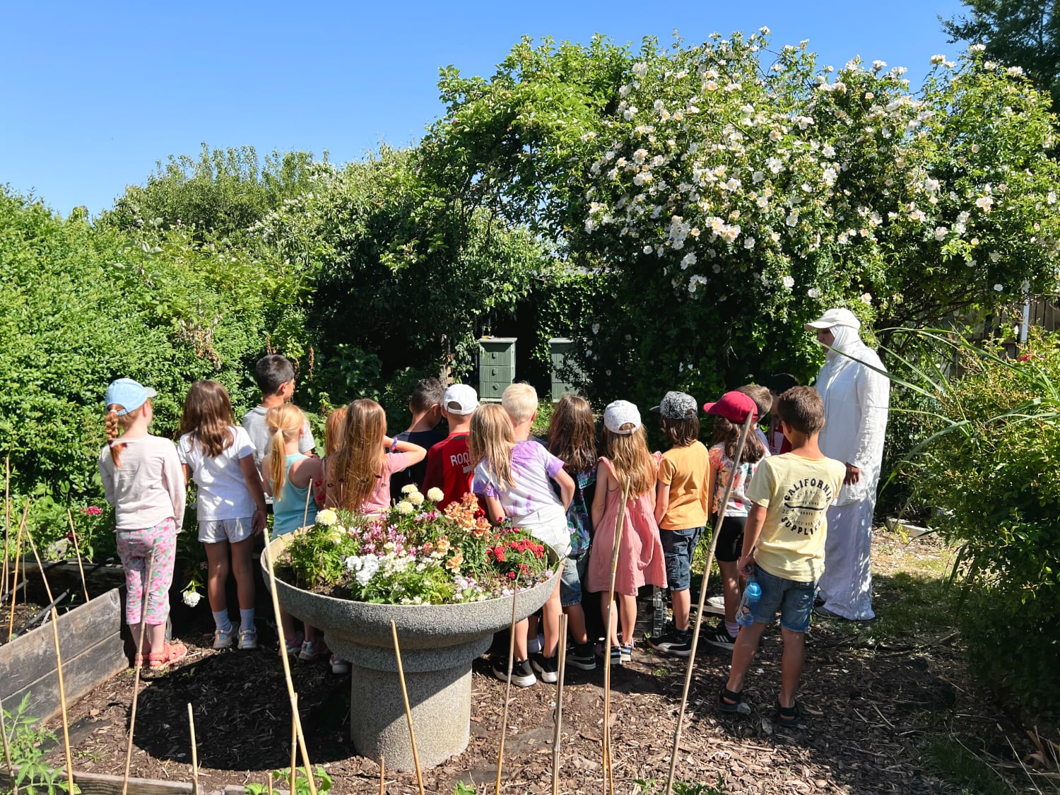 Kurser & studiebesök