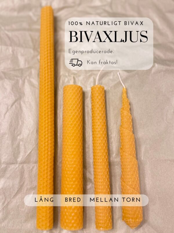 Bivaxljus